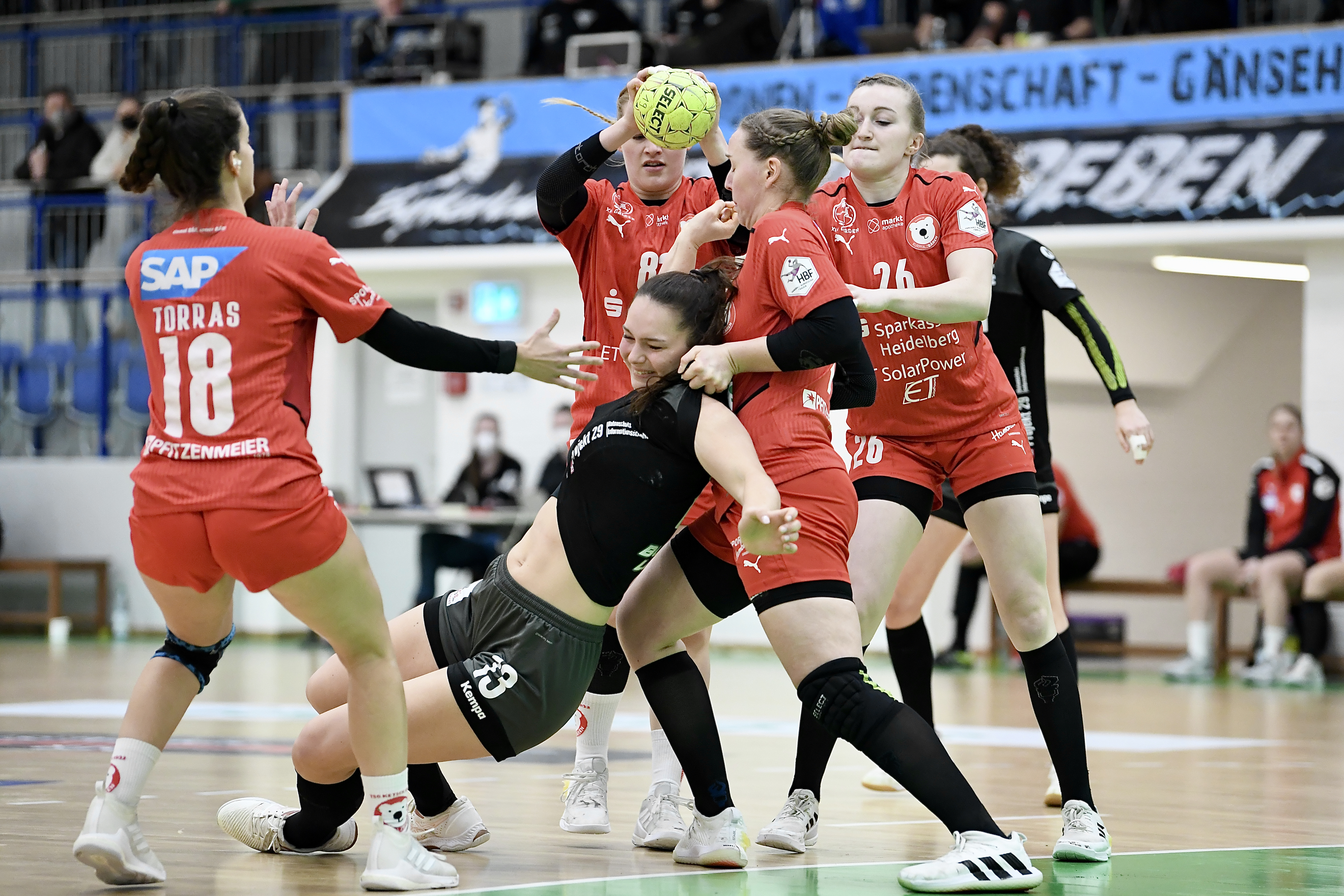 Bayerischer Handball-Verband